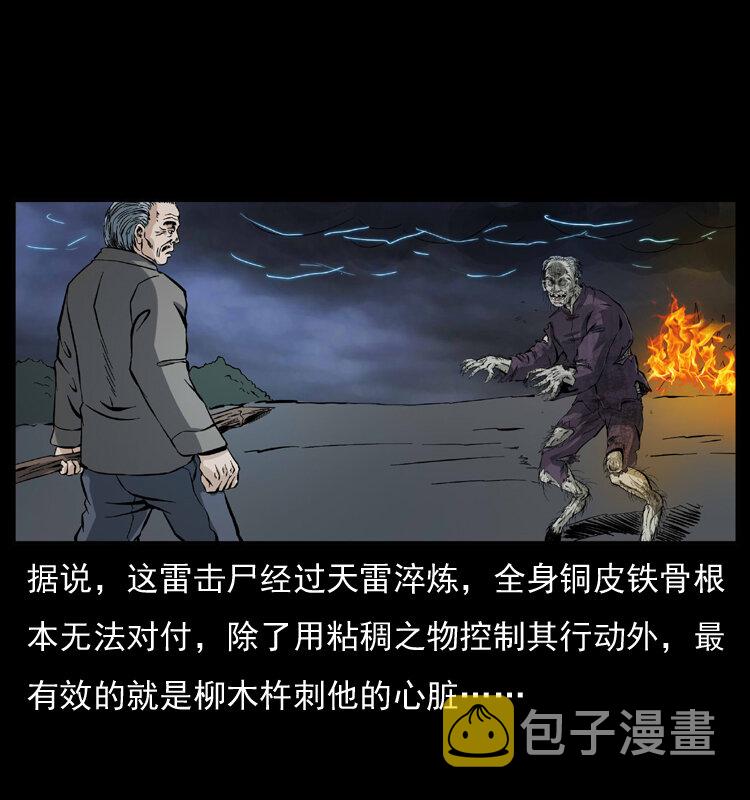 041 雷击尸253
