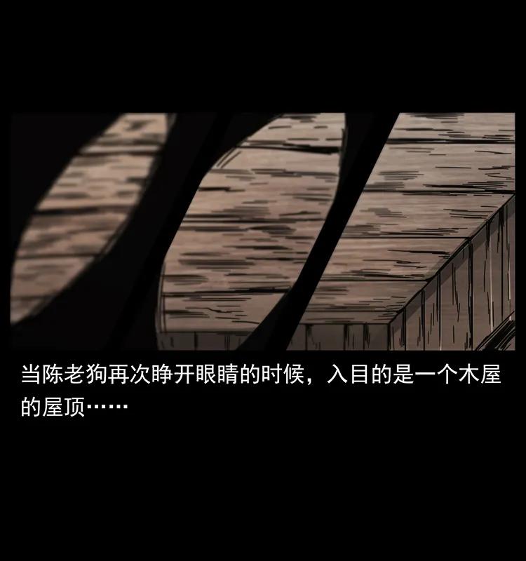 231 东海木龙49
