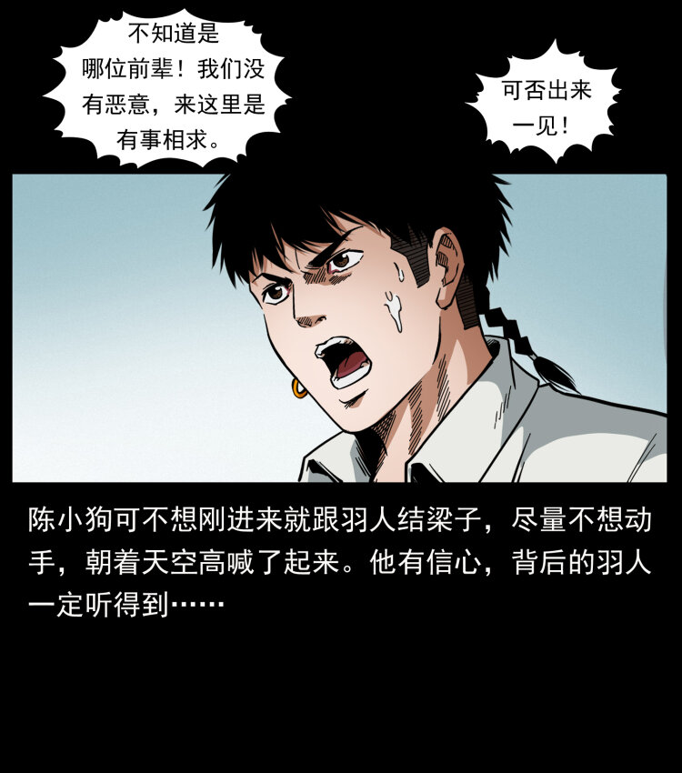 442 羽人现身33
