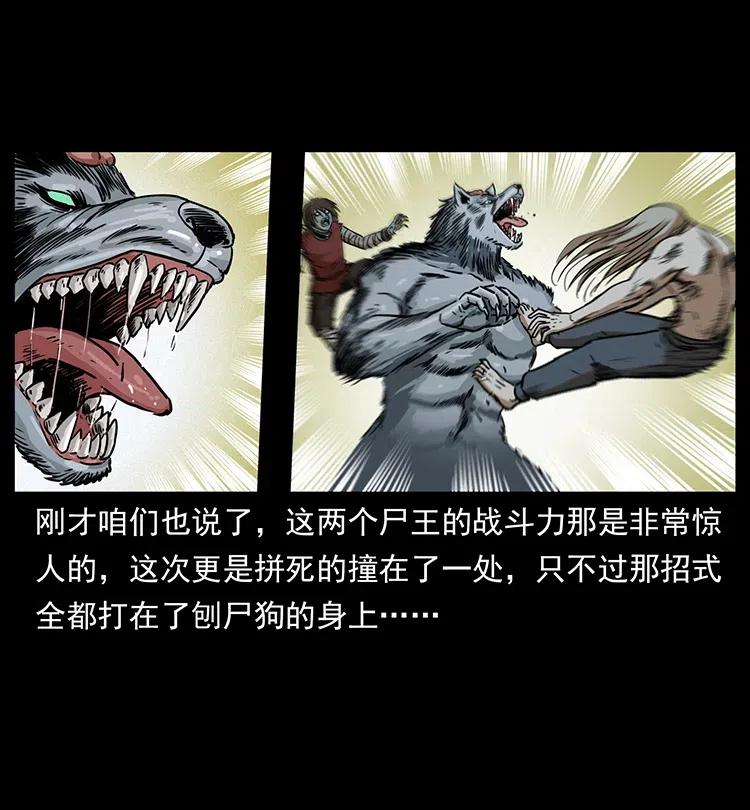331 樊家尸王经27