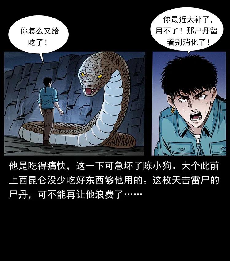 372 天击雷尸71