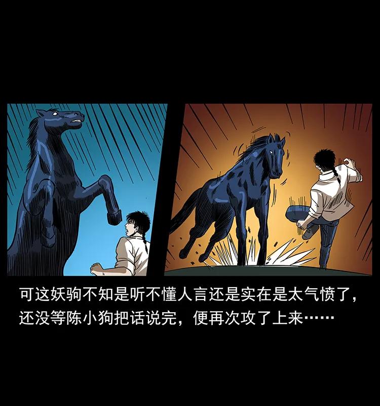 158 妖驹的选择21