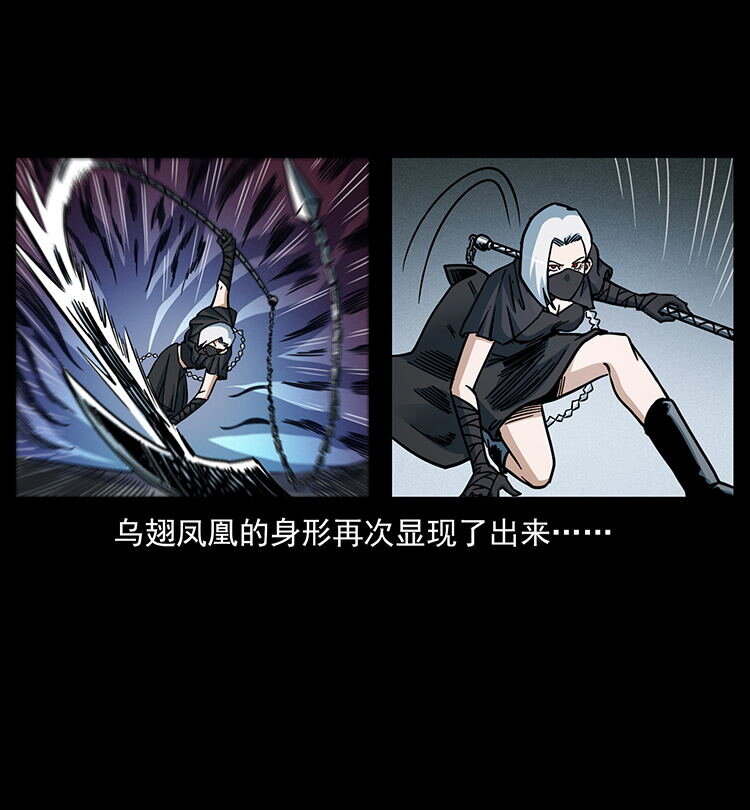 484 极地鸦族77