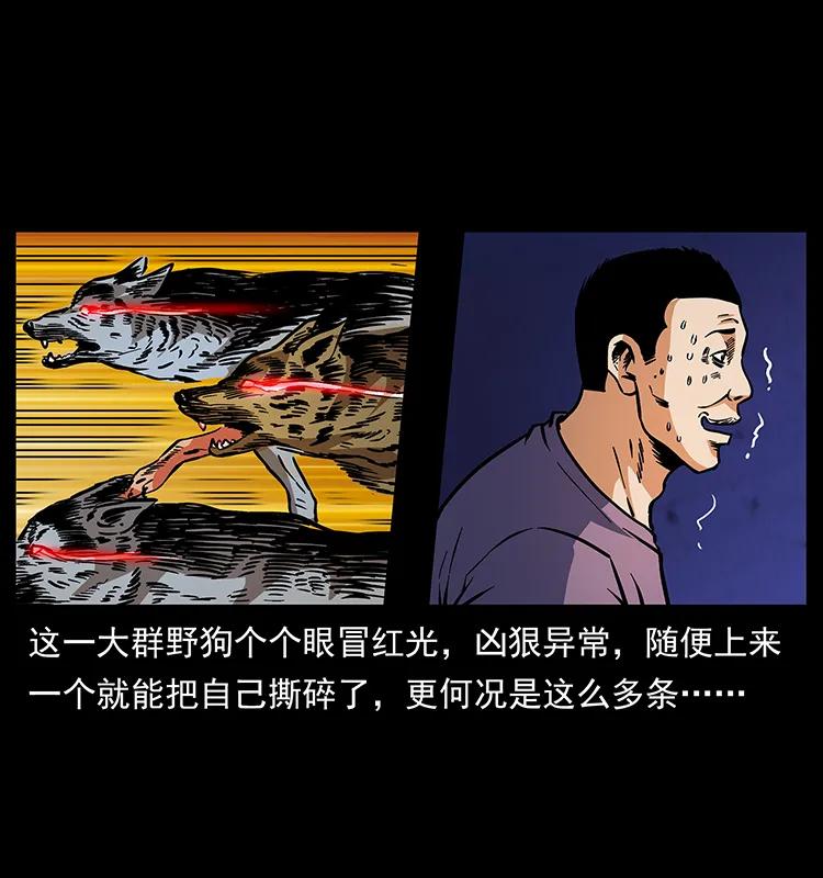170 布局18