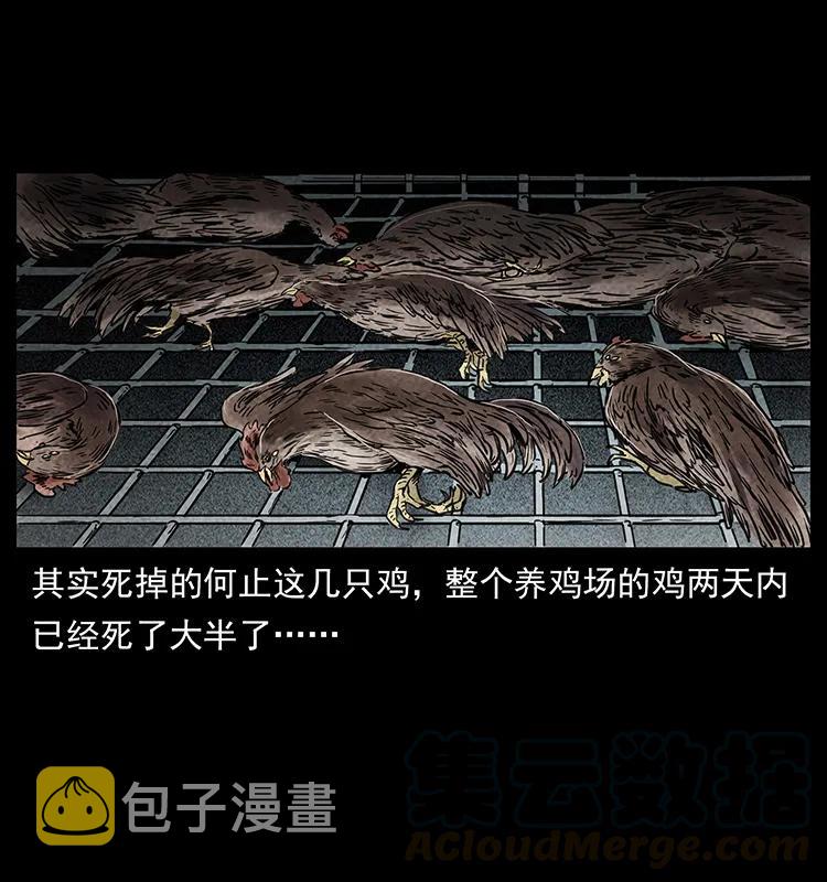 251 刨尸狗遇险28