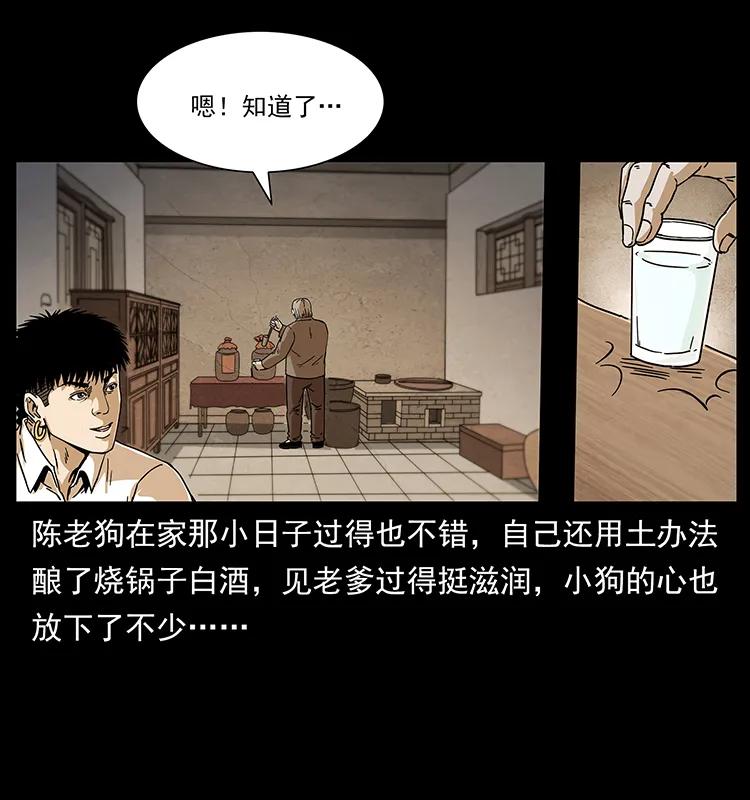 231 东海木龙3