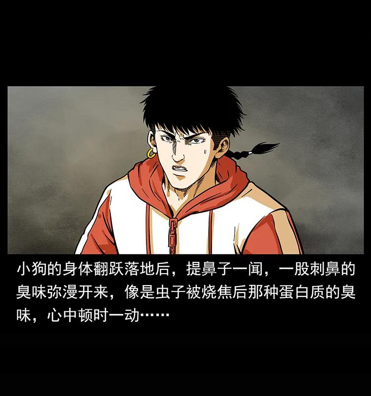 218 阴山极柱34
