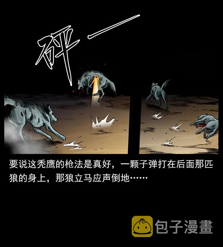 318 沙漠秃鹰33