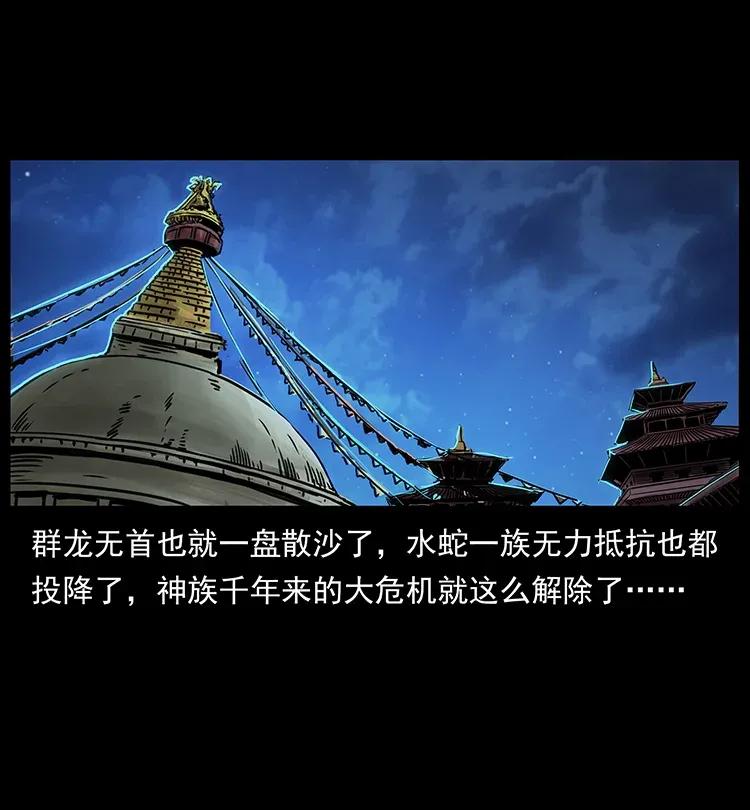 290 神王？81