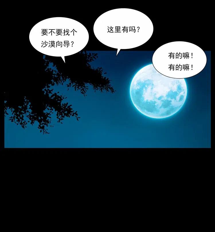 316 大漠归客31