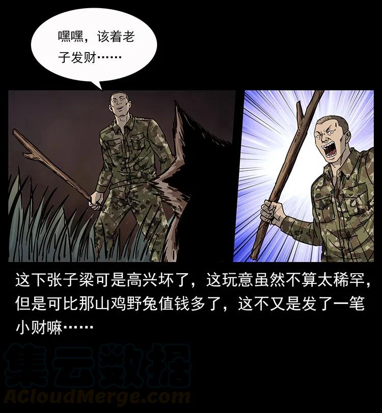 250 走失16