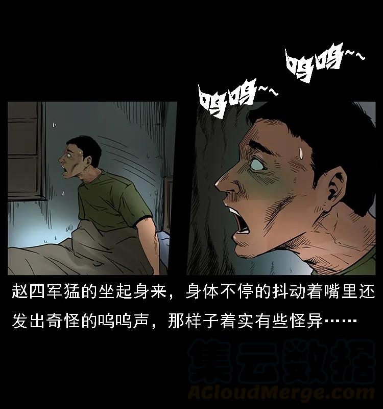 088 勾魂鸟夜枭12