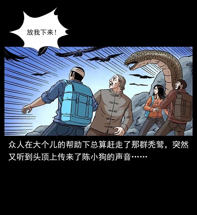281 柱子归来！33