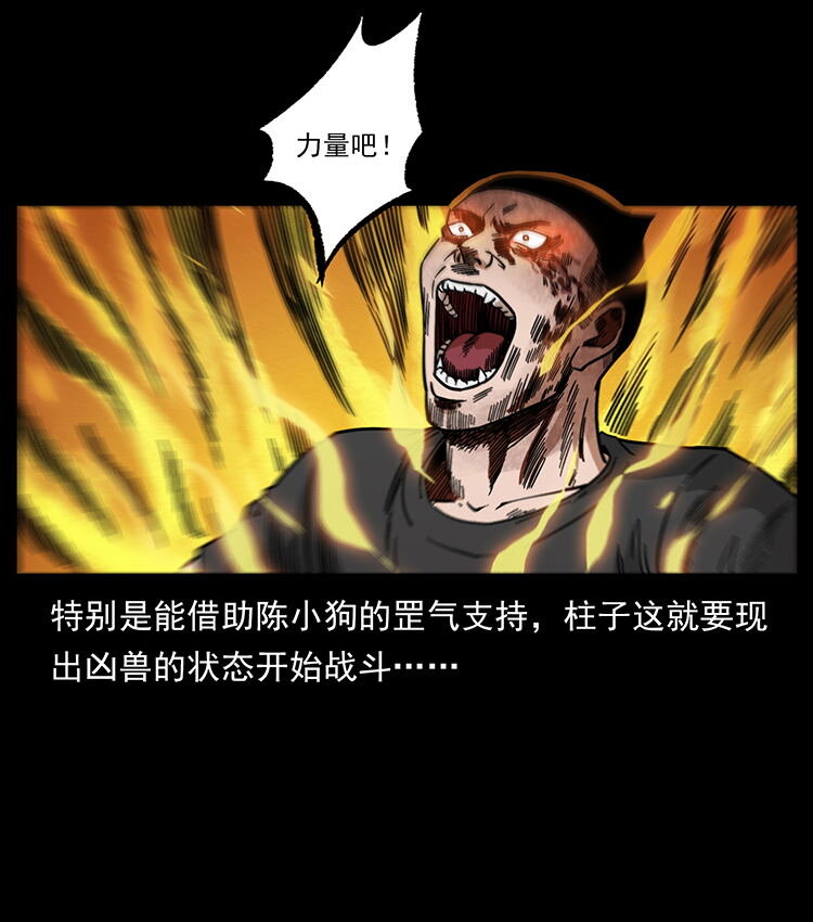486 人与狐2