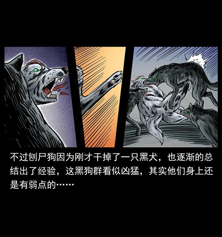 252 危机！危机22