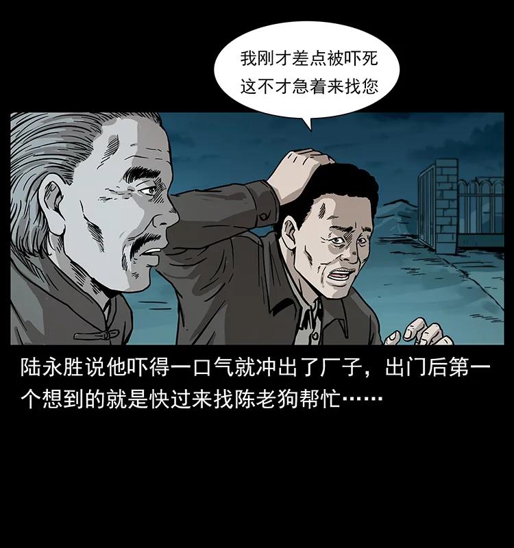 230 生桩46