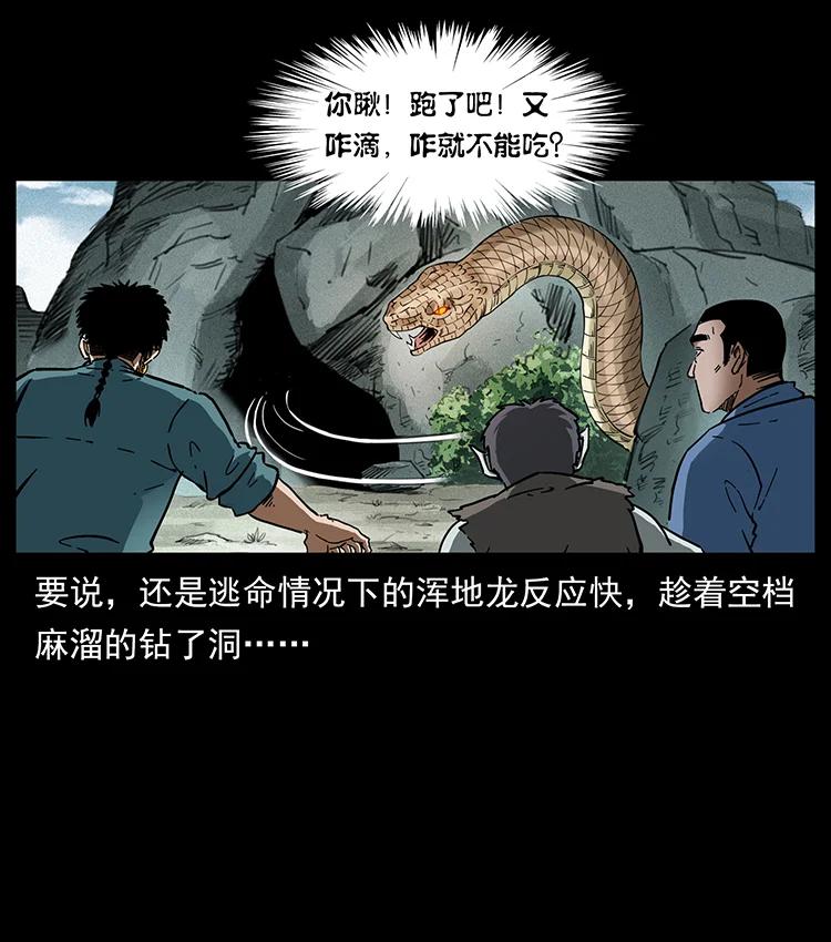 387 老大出手，天崩地裂！11