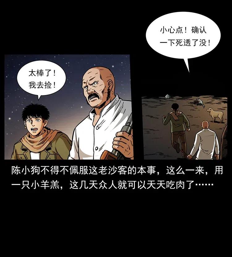 318 沙漠秃鹰37