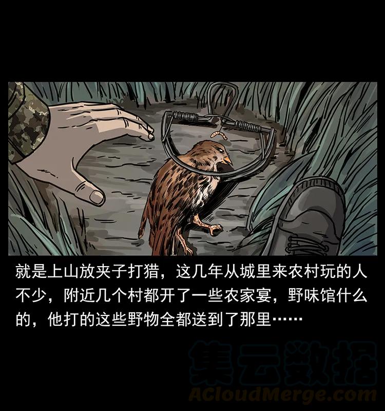 250 走失12