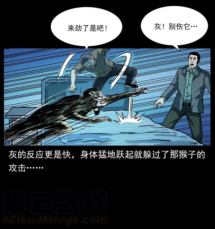 228 凶兽72