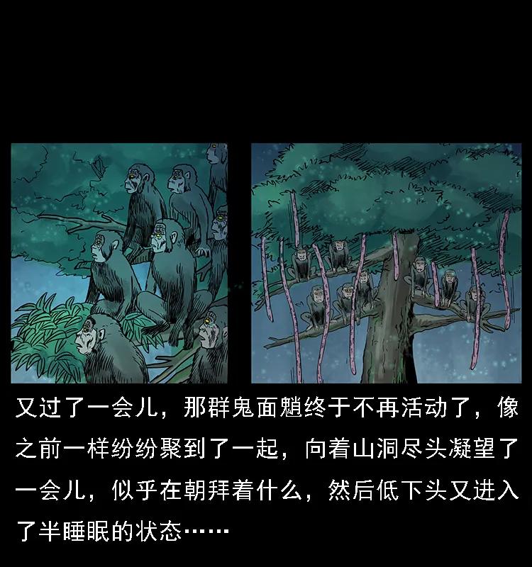082 鬼桃树59