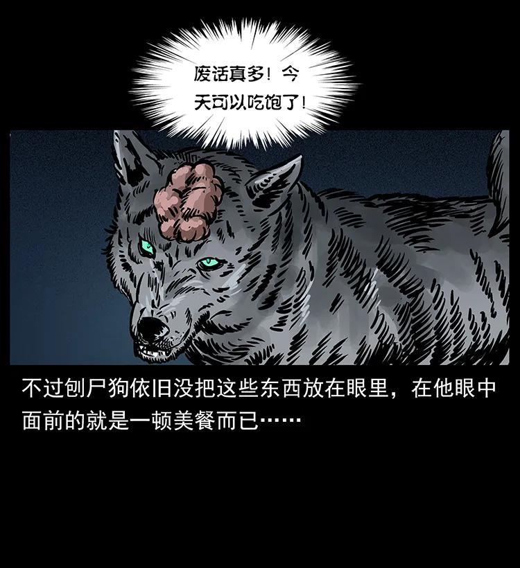 251 刨尸狗遇险69