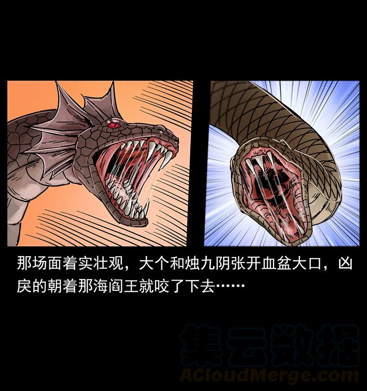 243 大战海阎王8