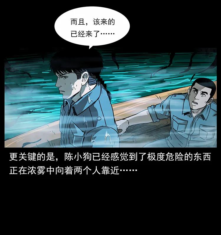 242 陈小狗失算了18