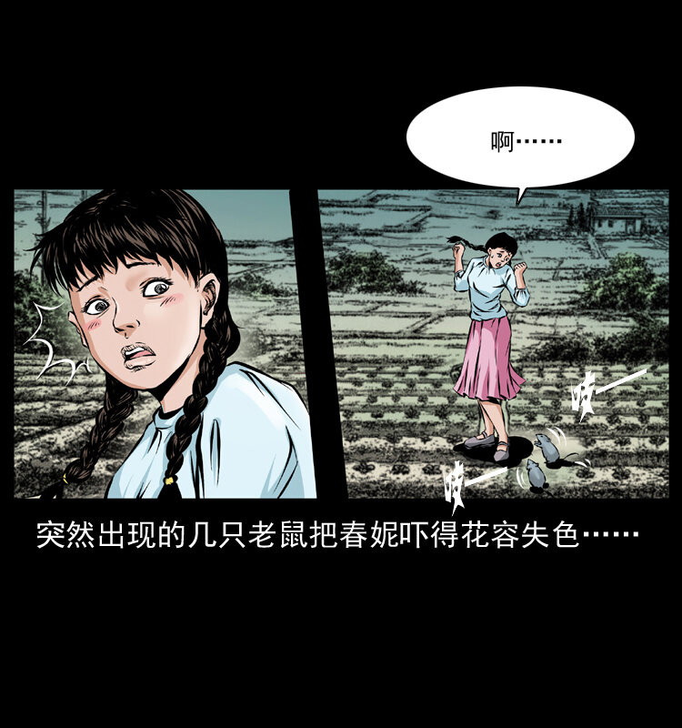 番外1 惊天大计划15
