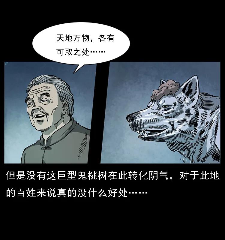 082 鬼桃树63