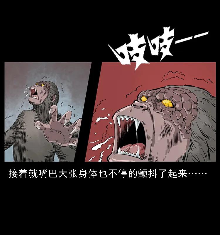 082 鬼桃树41