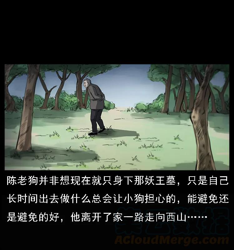 082 鬼桃树8