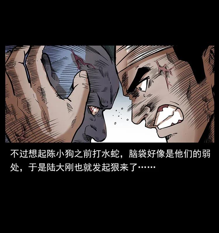 289 谋变51
