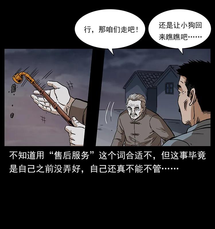 230 生桩13