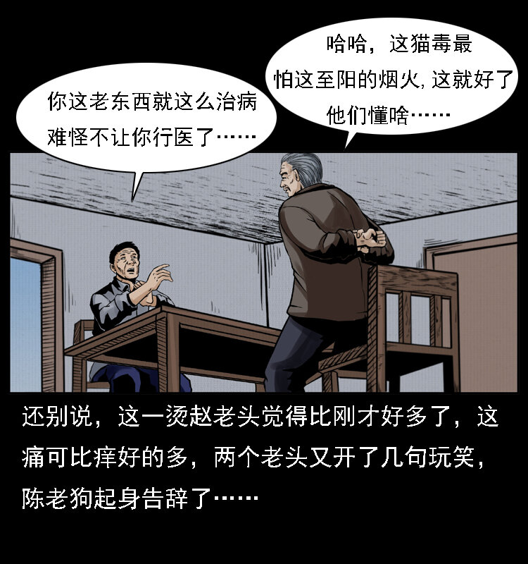 003 赵家的猫66