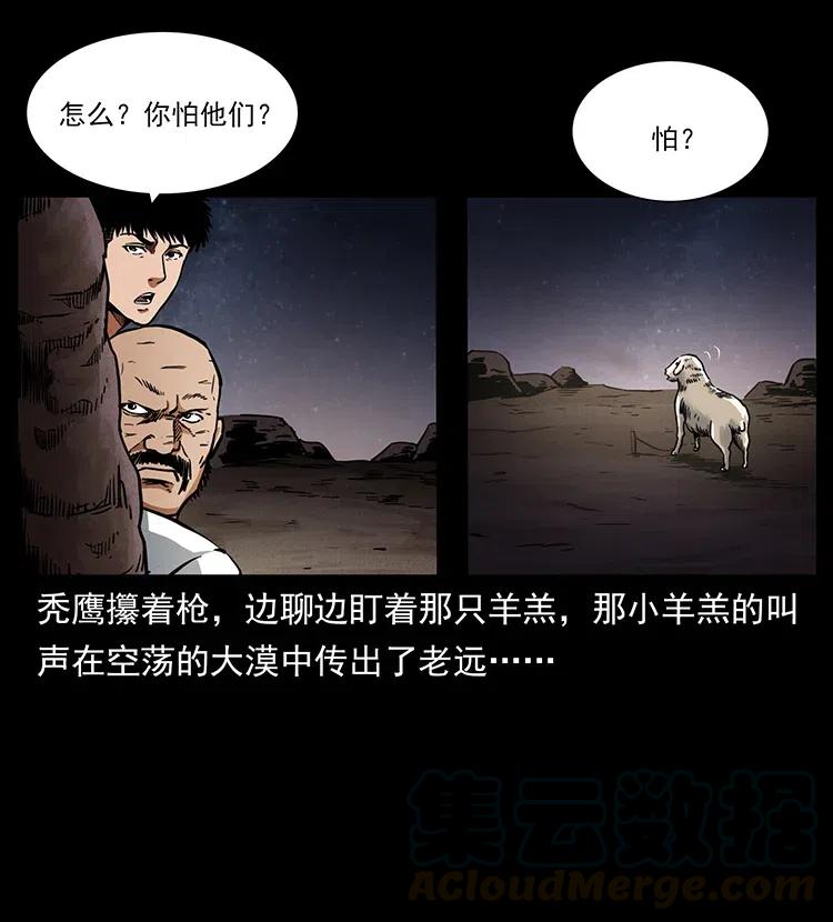 318 沙漠秃鹰28