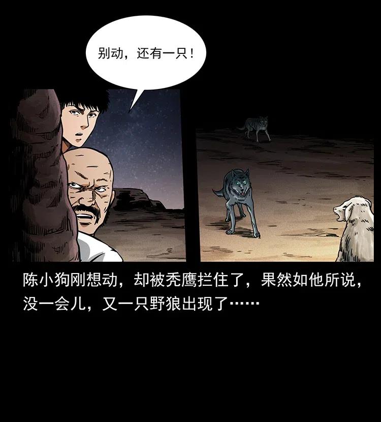 318 沙漠秃鹰31