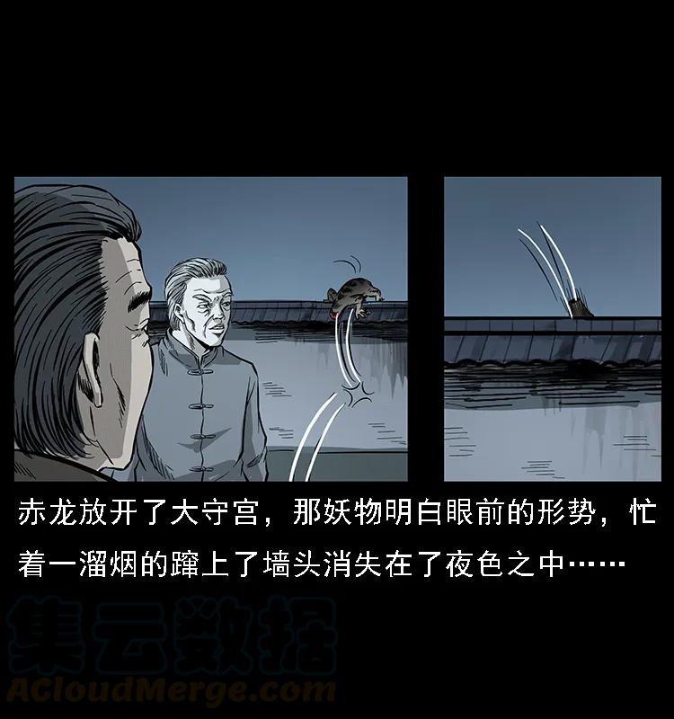 076 守宫36