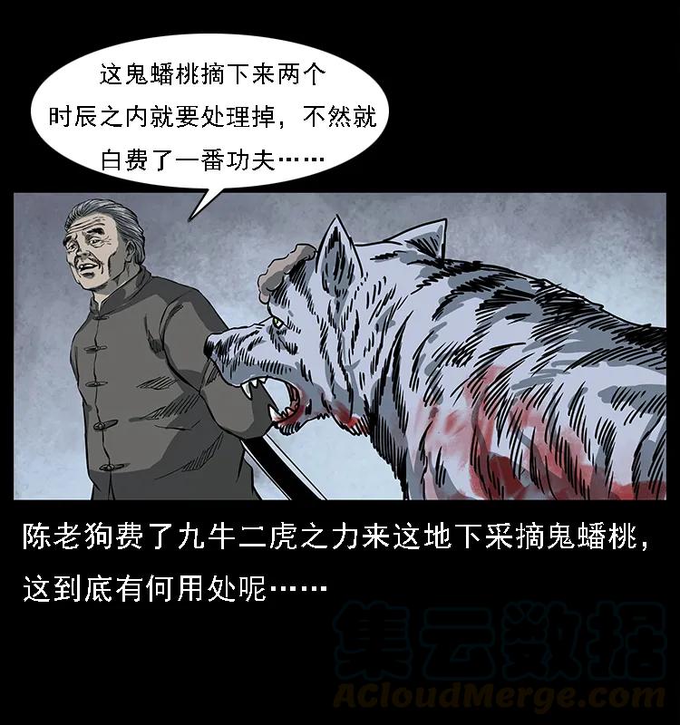 083 鬼面魈80