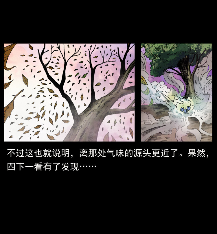 441 羽人之境59