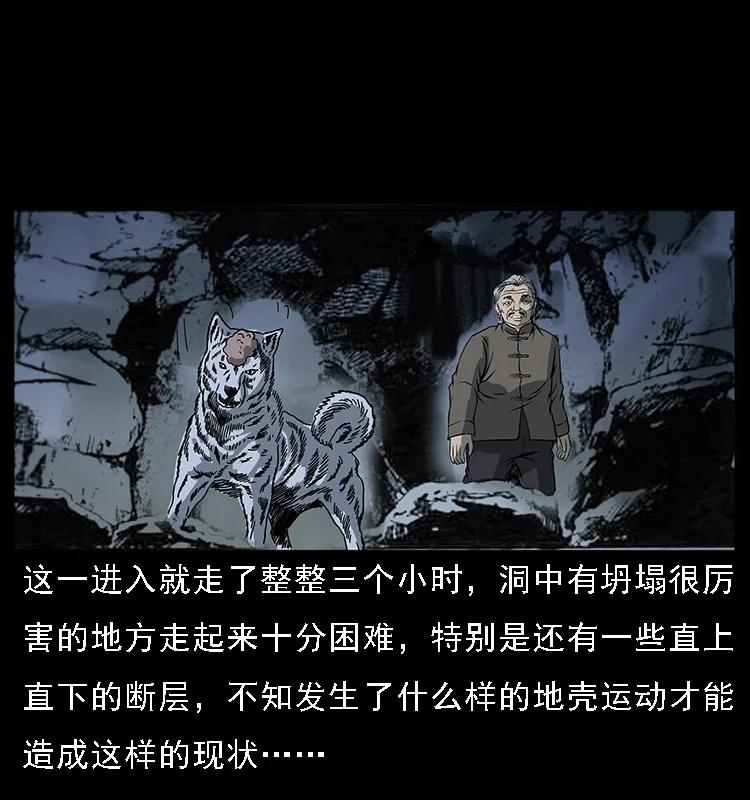 082 鬼桃树18