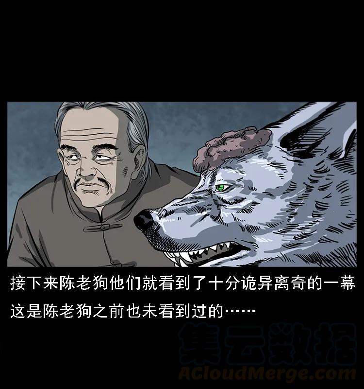 082 鬼桃树36