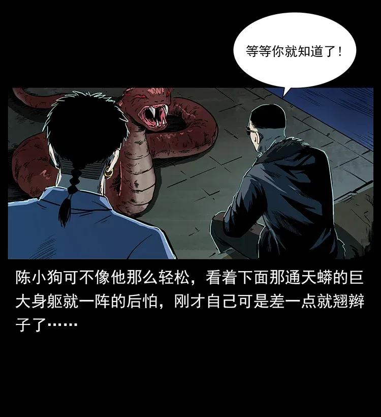 288 强者归队！61