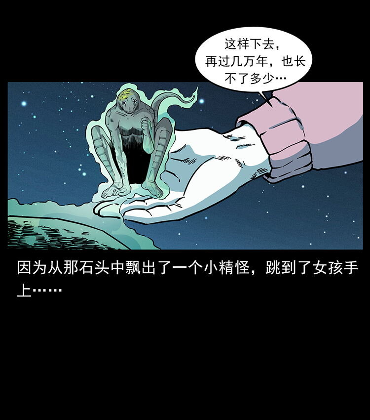481 树80