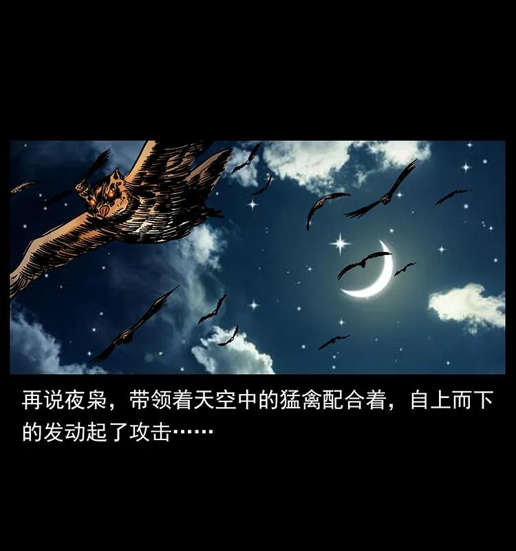 179 龙家的实力30