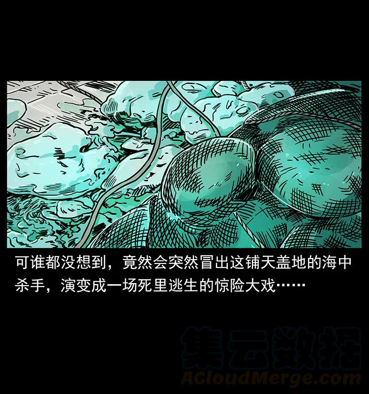 240 意外频发的诱捕32