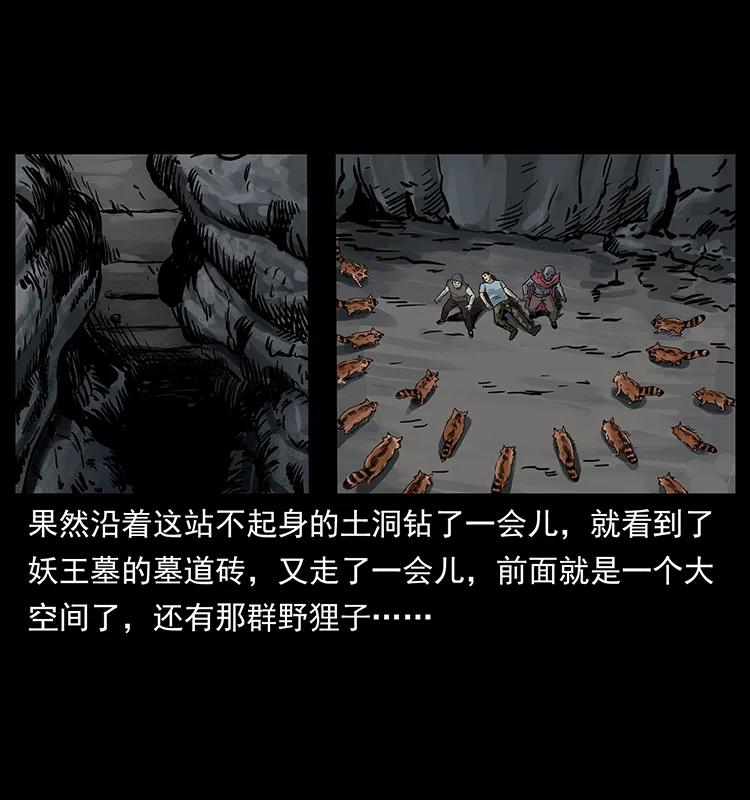 250 走失50