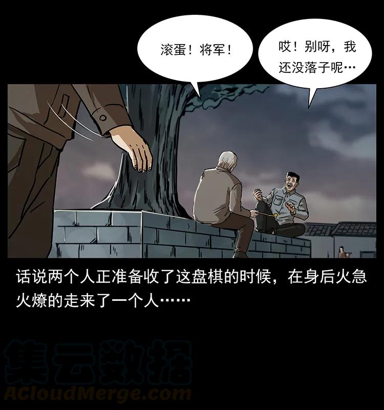 230 生桩8