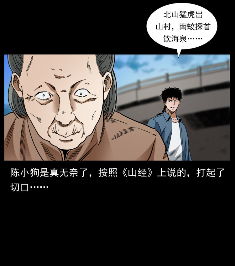 426 南国，我来了！62