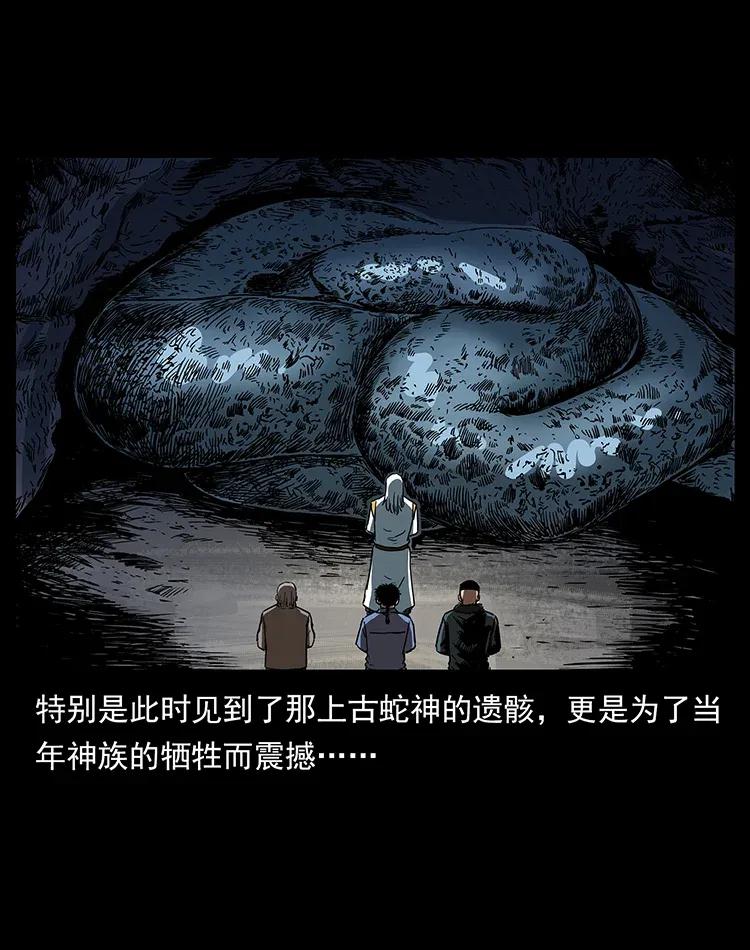 293 赤龙回归14